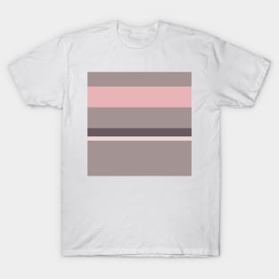 An unparagoned bind of Dirty Purple, Spanish Gray, Pale Pink and Soft Pink stripes. T-Shirt